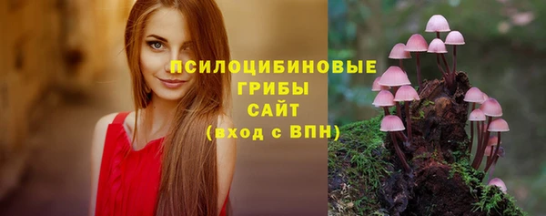 бутират Алзамай