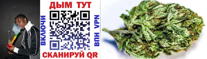 Марихуана SATIVA & INDICA Шумиха